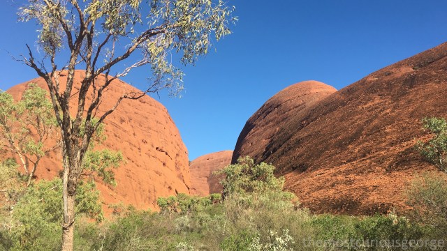 Kata Tjuta 